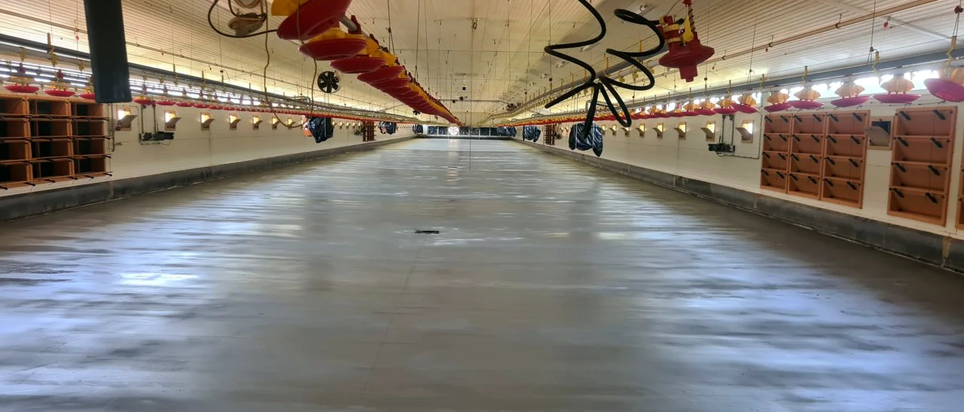Frissen bevonatolt, tükörsima ipari padló egy nagy légterű mezőgazdasági épületben